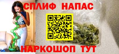 прущие грибы Тверь
